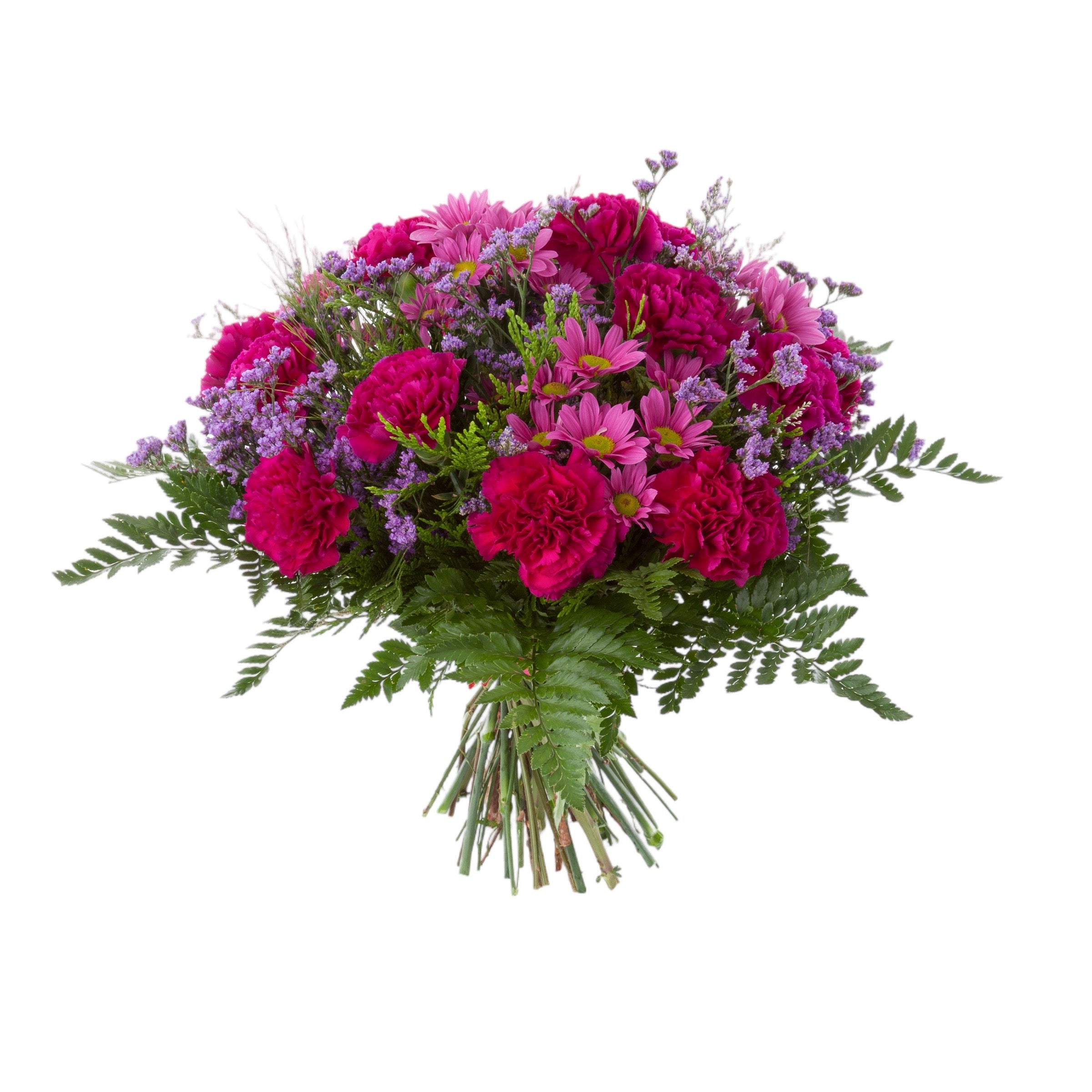 Florist Choice 4 - Floramor 