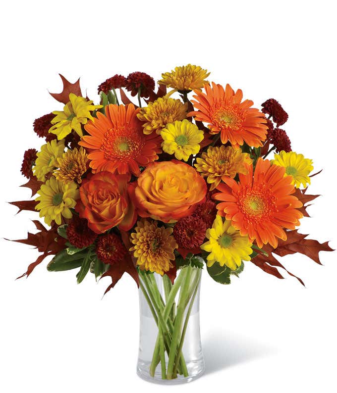 Herbst Sonnenstrahlen Blumenstrauß