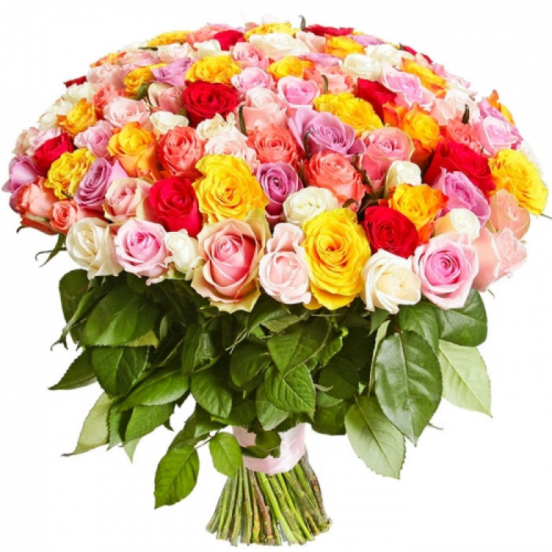 101 Mixed Long-stemmed Roses