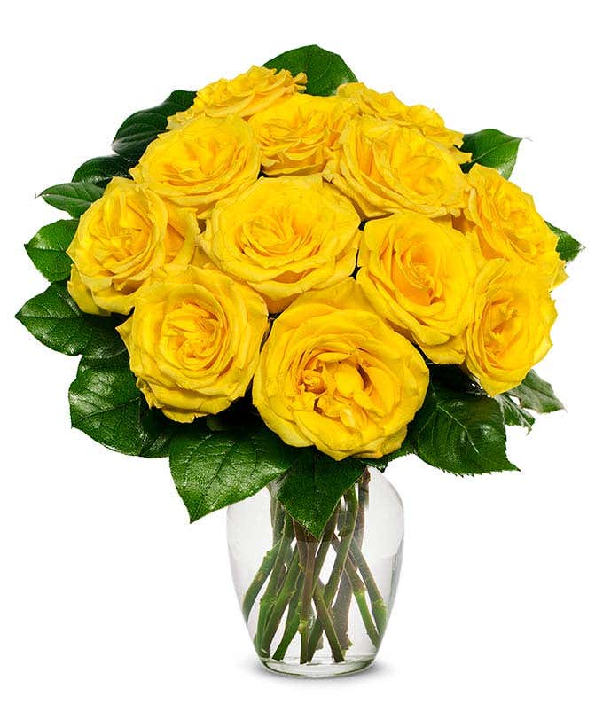 Yellow Roses
