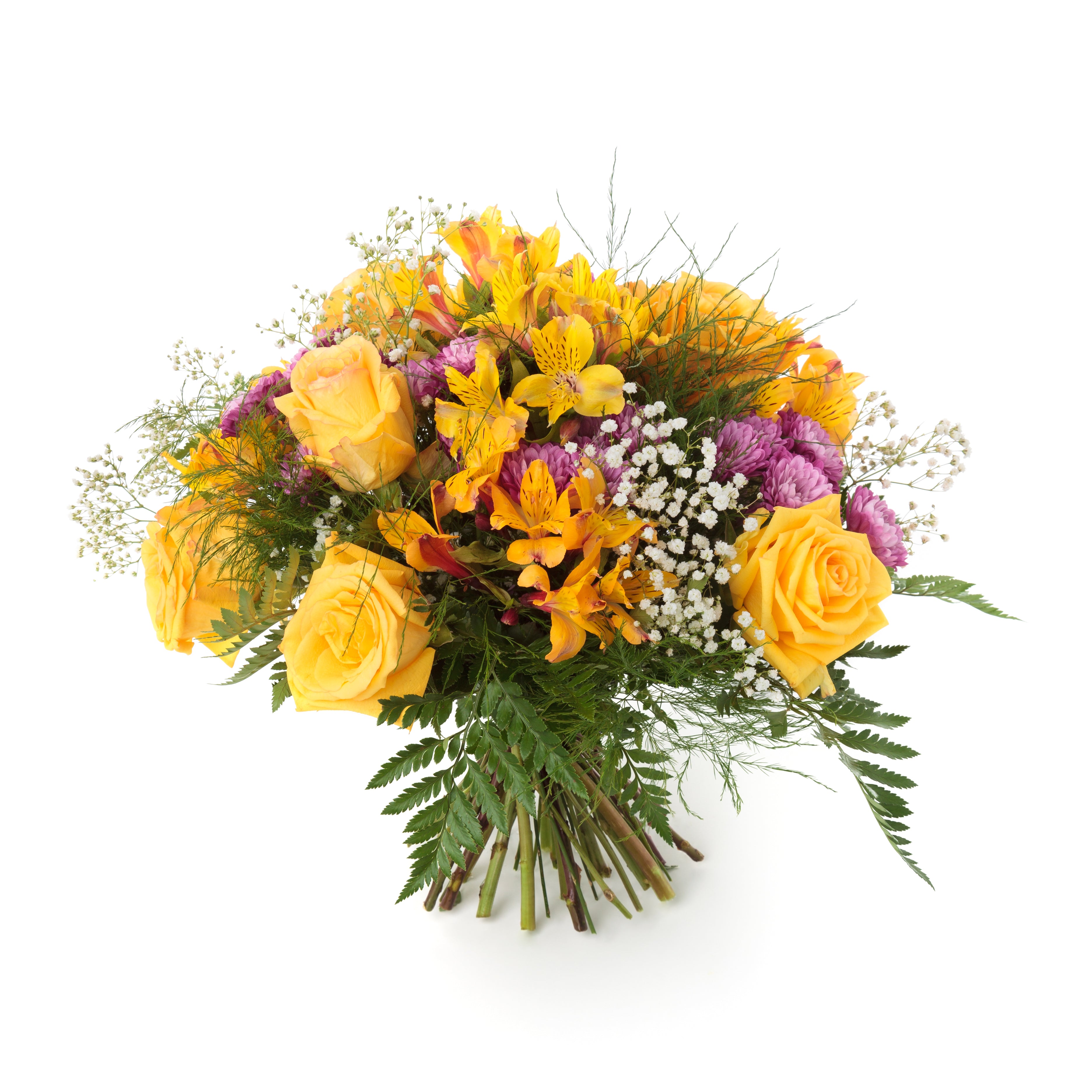 Florist Choice 2 - Floramor 