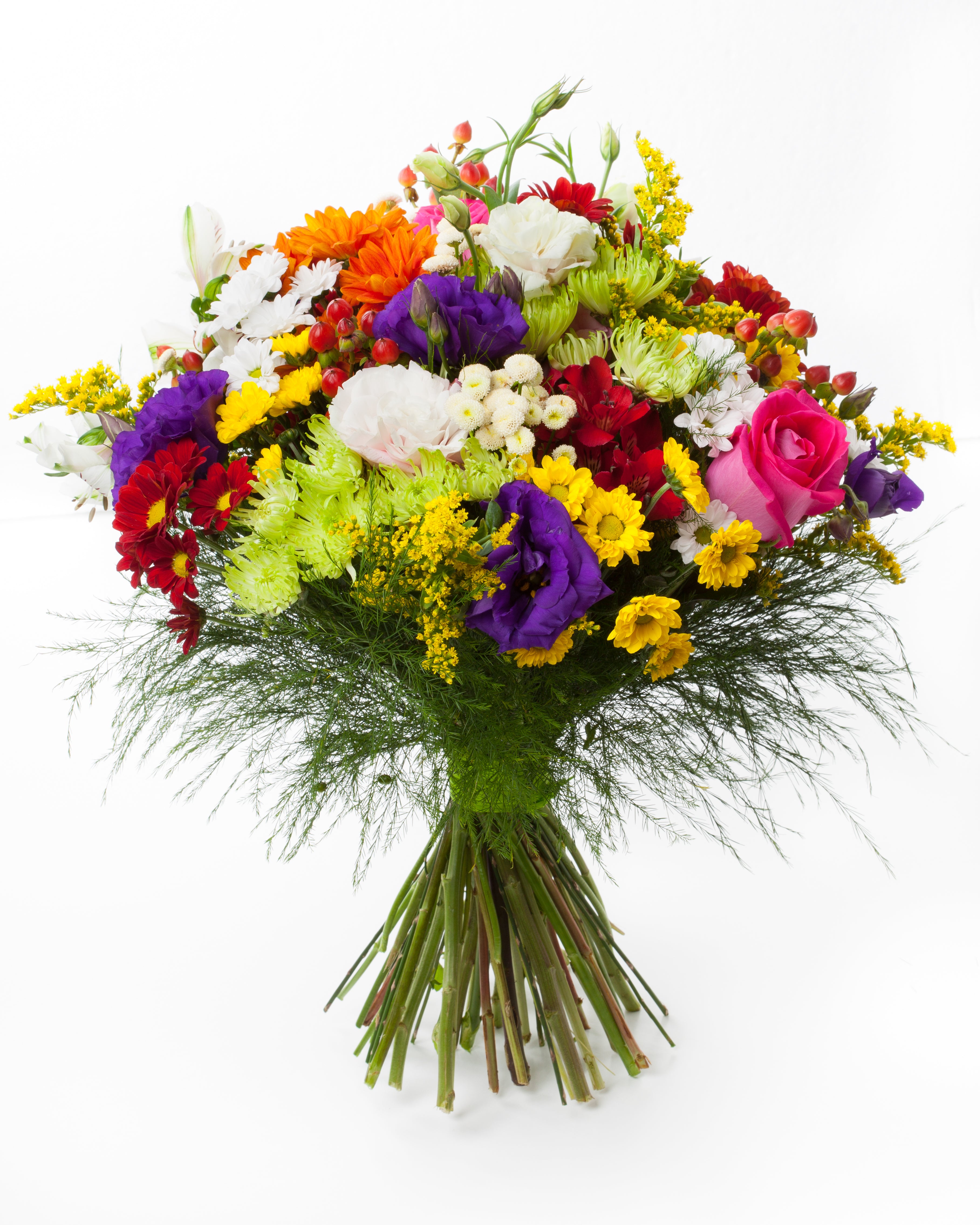 Florist Choice 10 - Floramor 