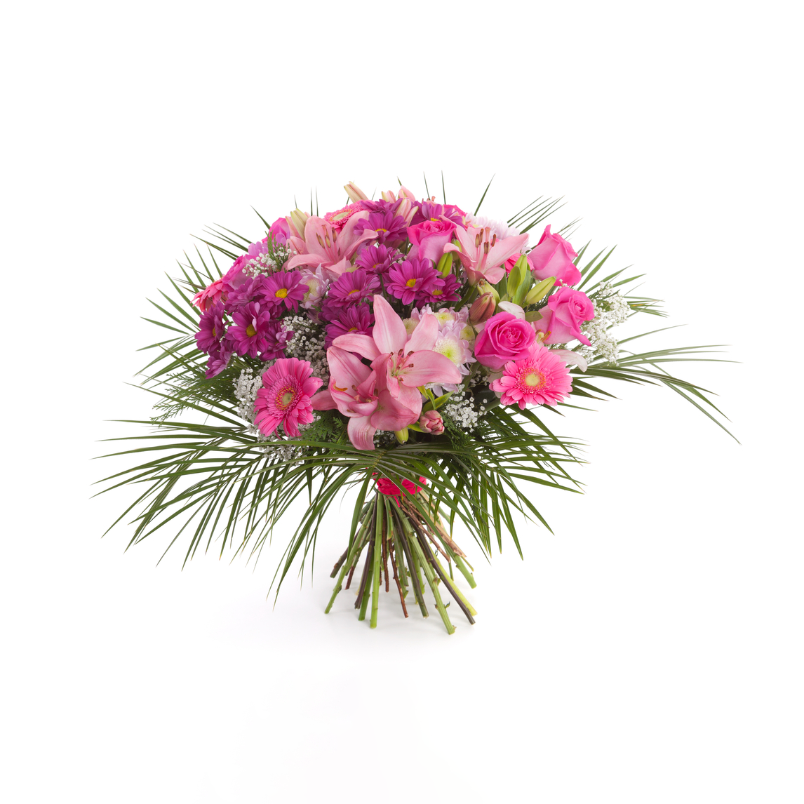 Florist Choice 6 - Floramor 