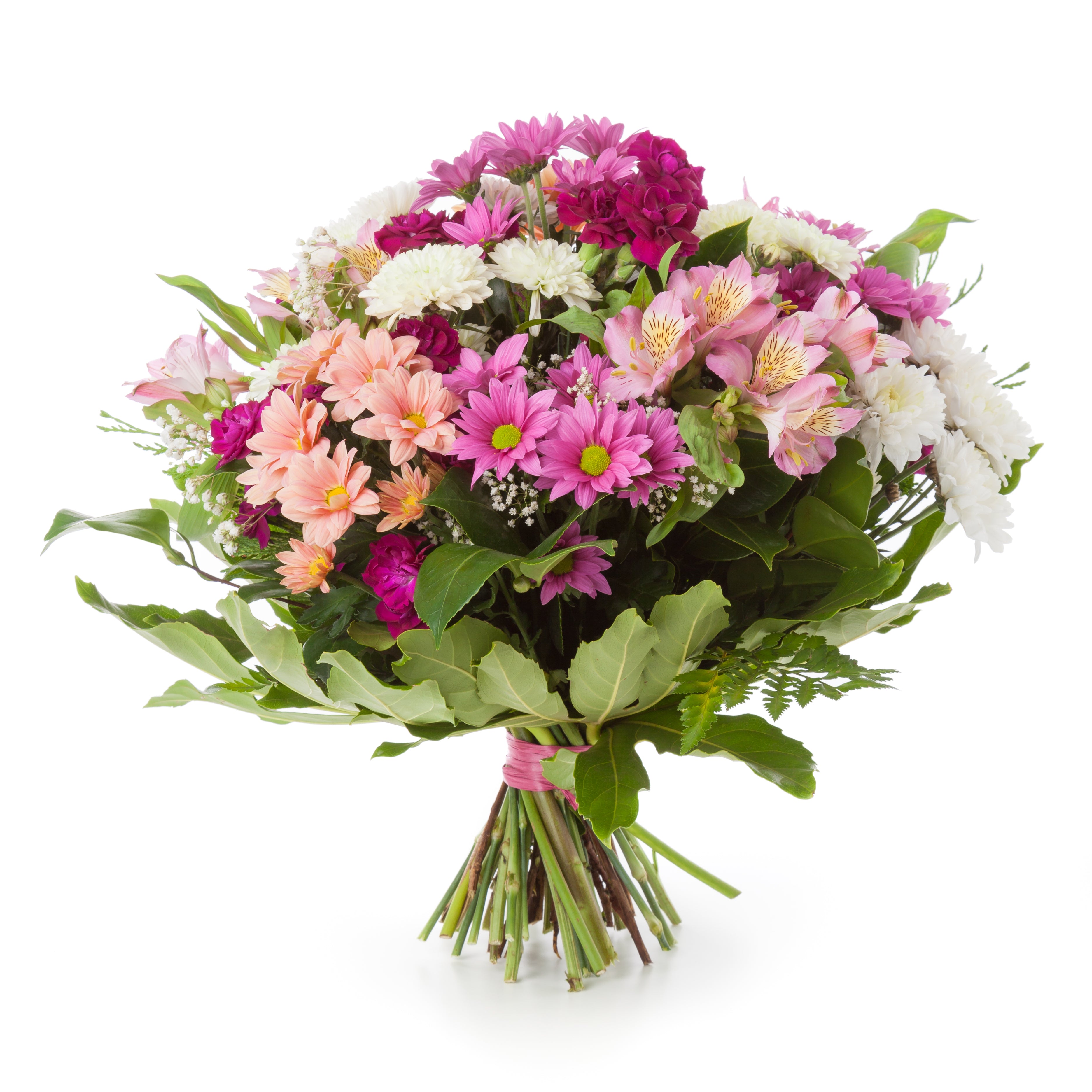 Florist Choice 8 - Floramor 